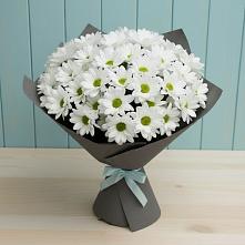 Букет цветов из:  Хризантемы в К.Либкнехте