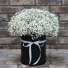 Цветочная композиция из Гипсофила в шляпной коробке в К.Либкнехте